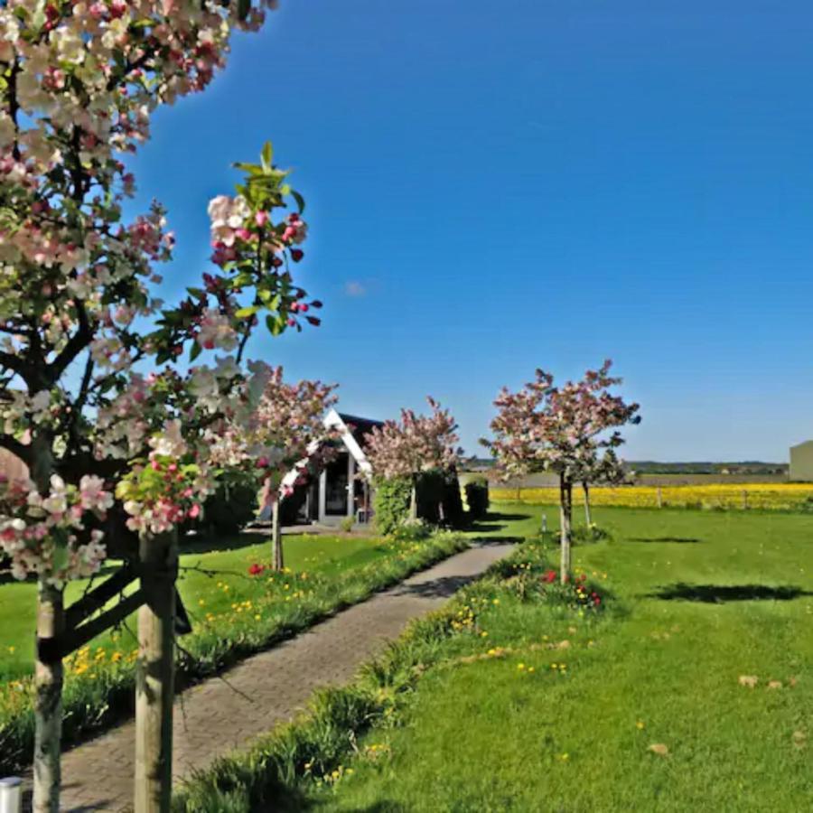 Hotelhuisje Warmenhuizen #D Exteriér fotografie